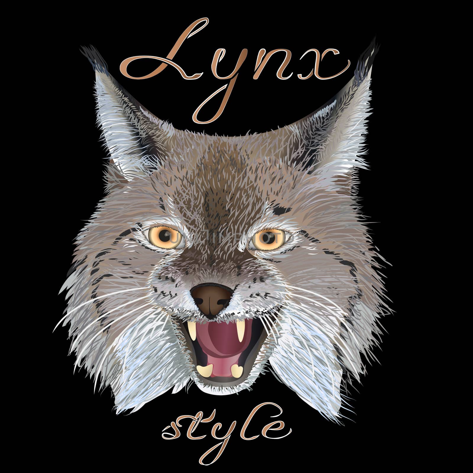 Portrait lynx head, with the inscription Lynx style, isolated on black background