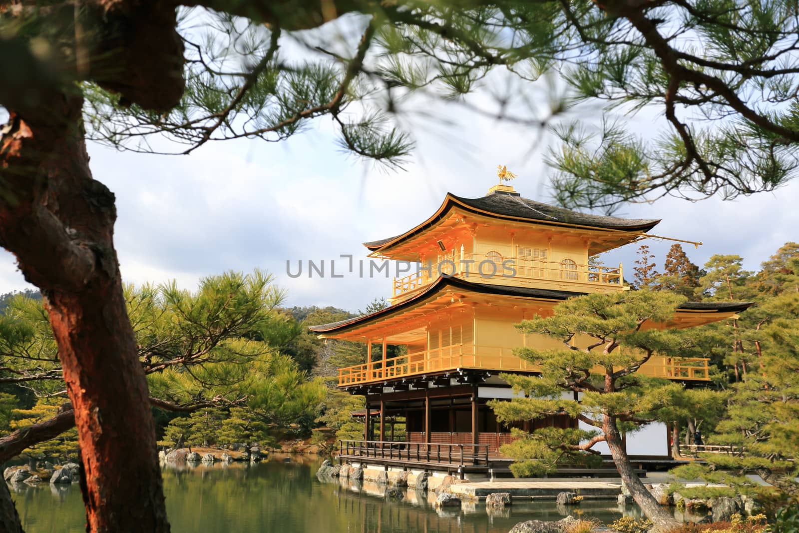 Kinkakuji Temple (The Golden Pavilion) by rufous