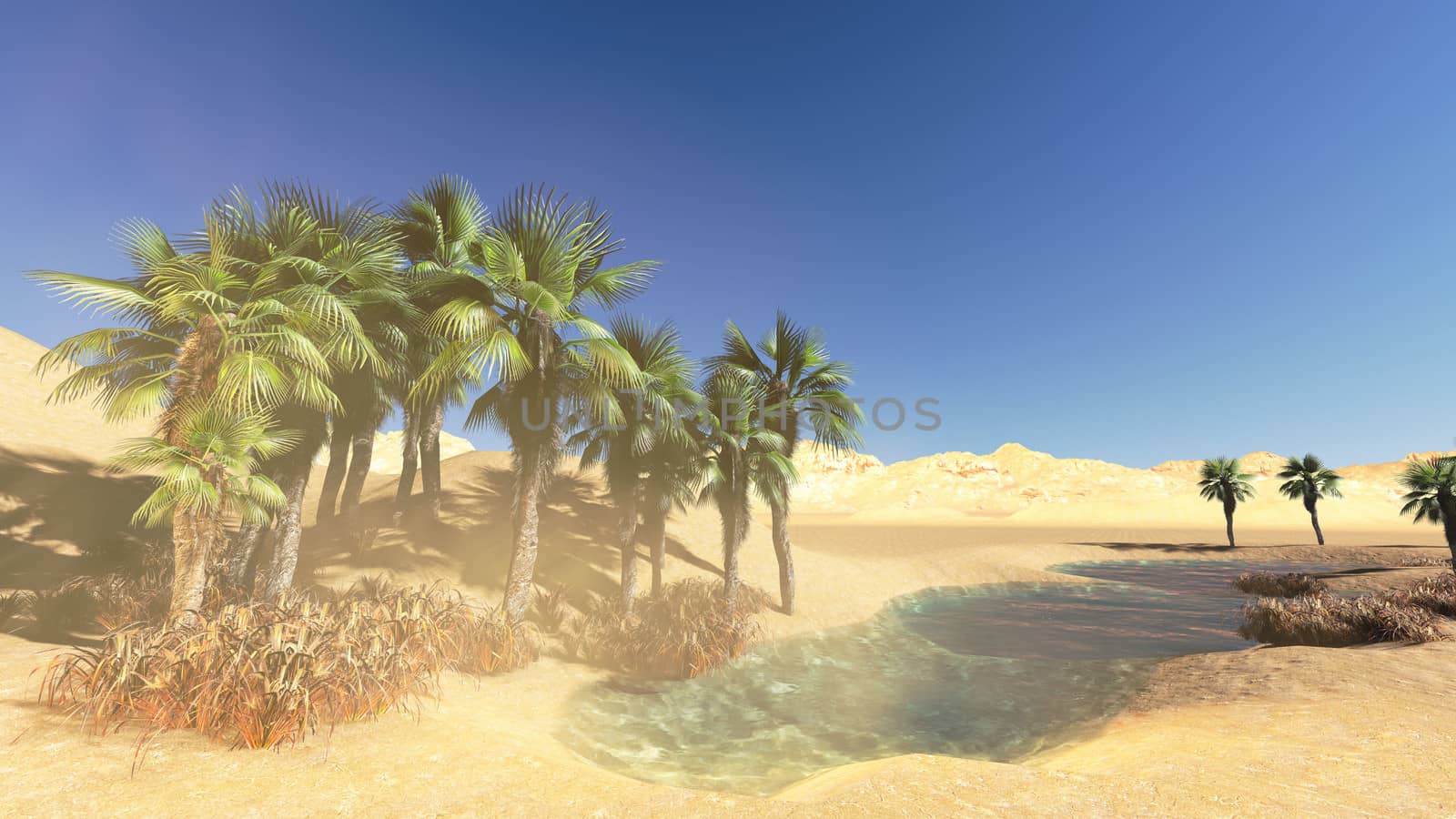 Oasis in the desert made in 3d software