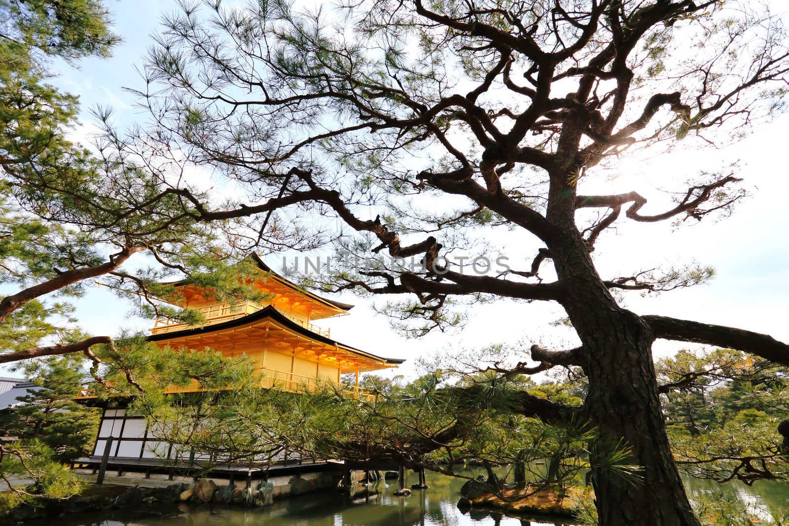 Kinkakuji Temple (The Golden Pavilion) famous place in Kyoto, Japan