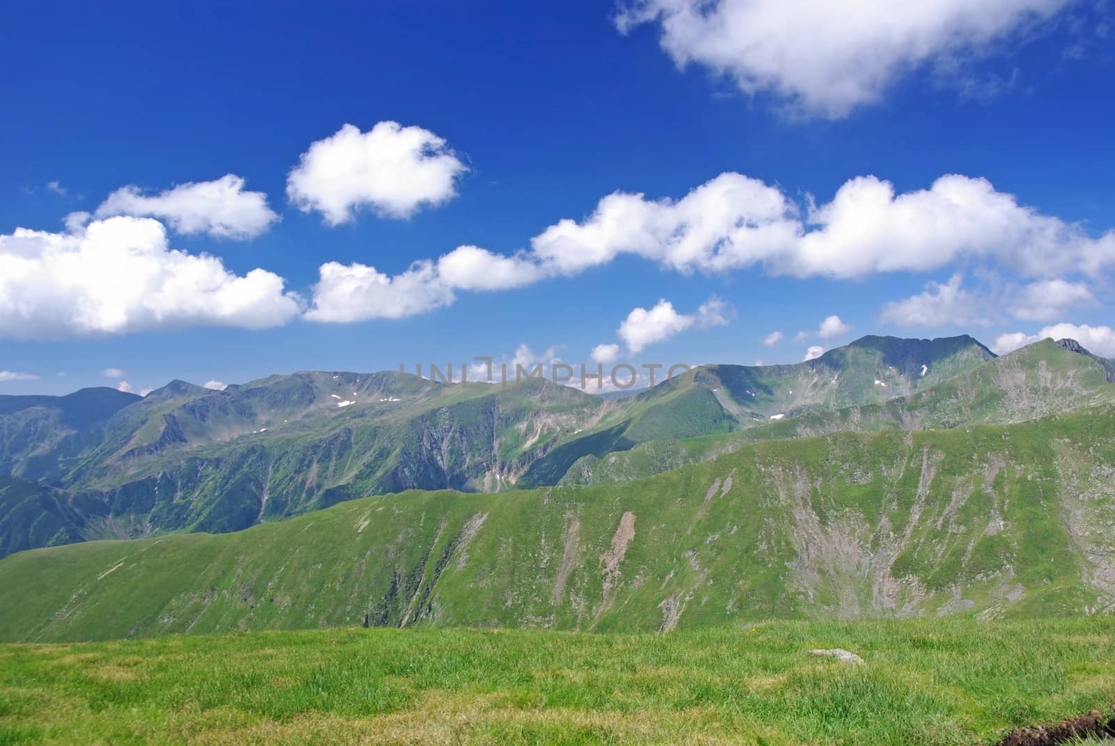 Alpine meadow in Fagaras mountains, Romania.