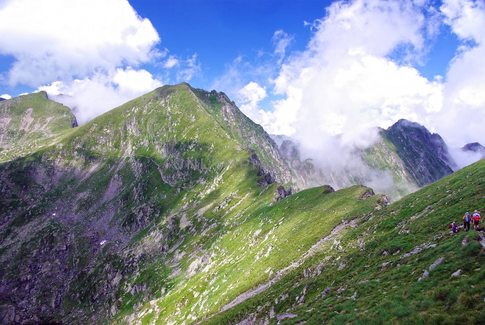 Crest details in Carpathian mountains.