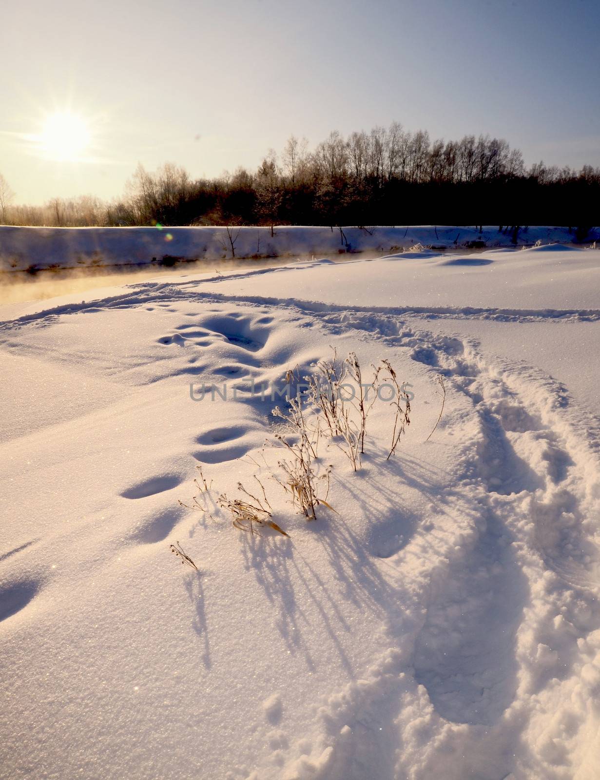 Footprints in deep snow and a tree on horizon Winter 