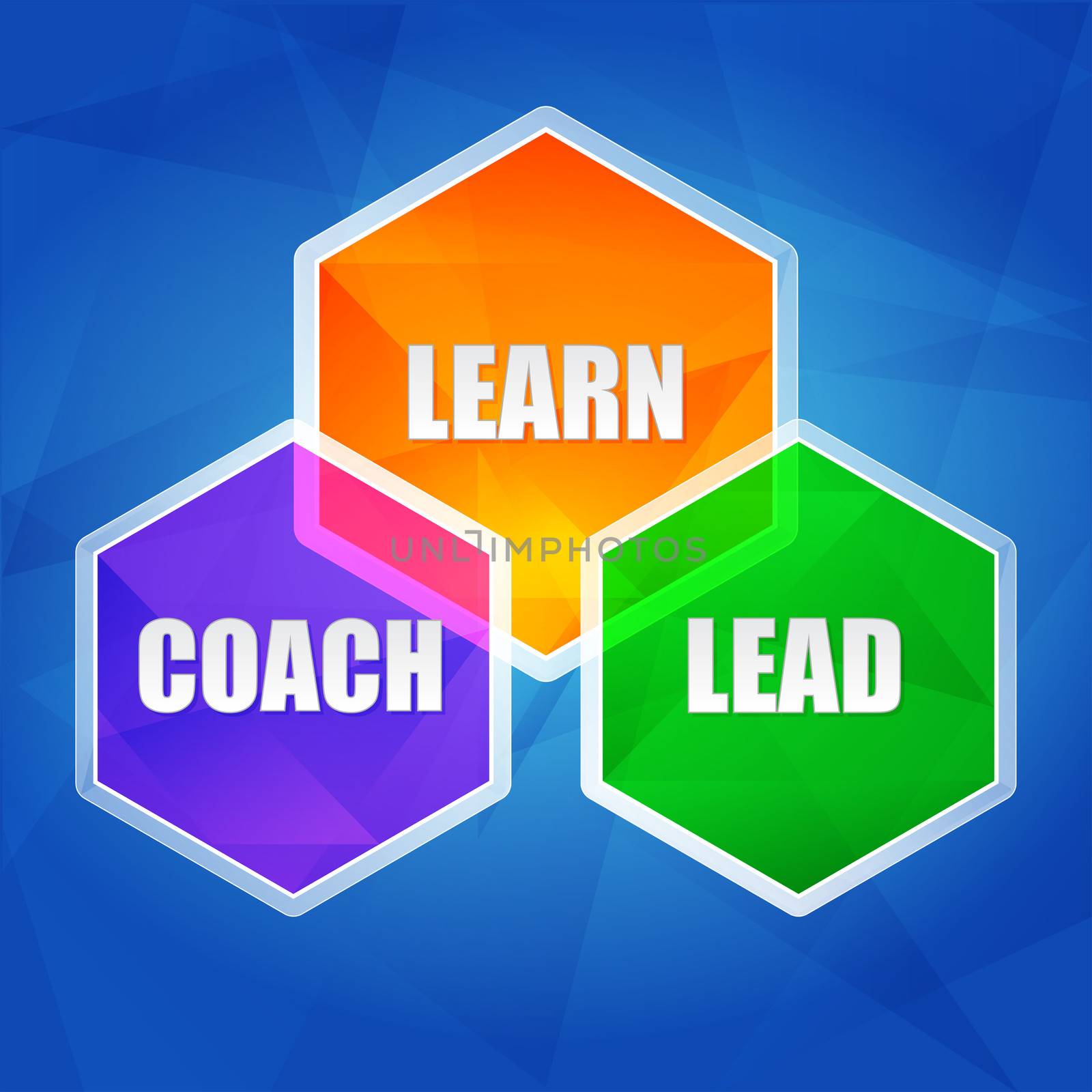 learn, coach, lead - business education concept words in color hexagons over blue background, flat design