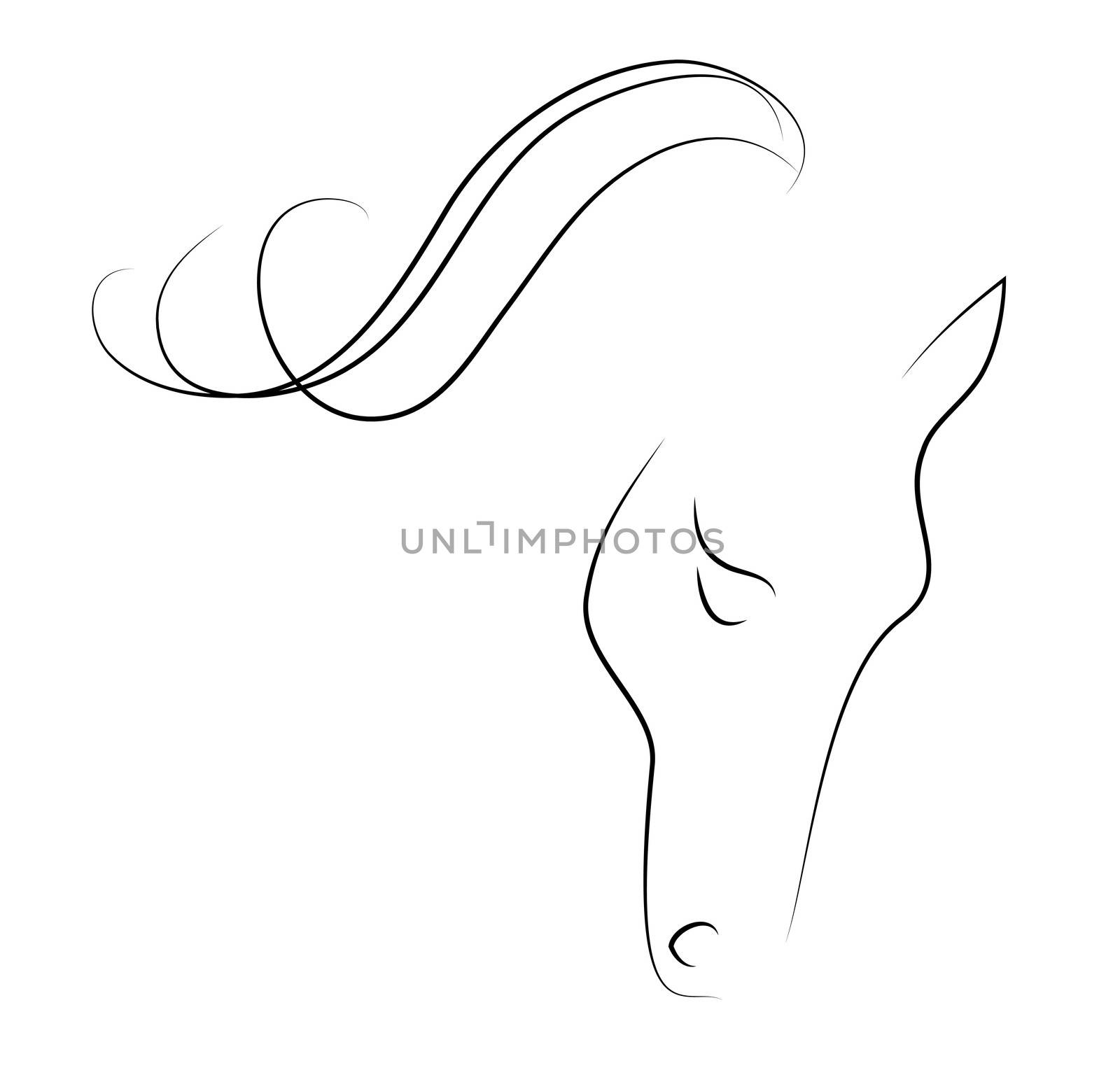 Elegant horse done in black-white a minimal style