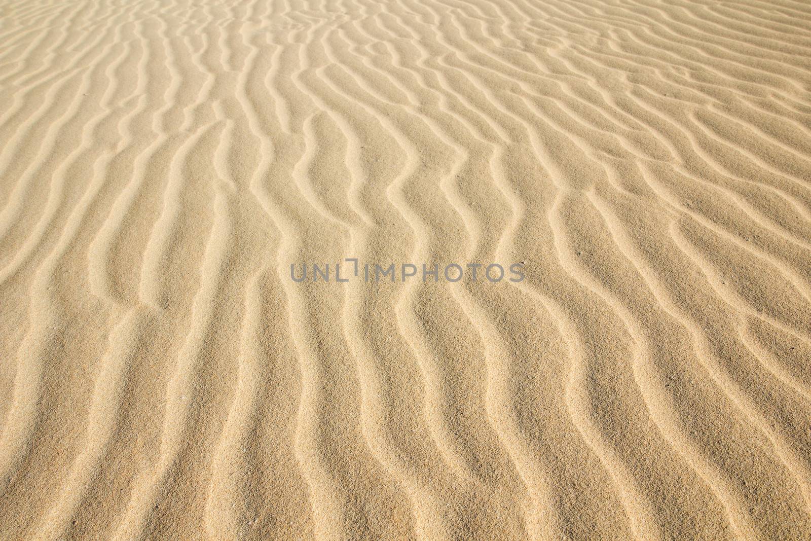 Desert sand pattern texture background from the sand in the Dunes of Corralejo in Fuerteventura, Canary Islands.