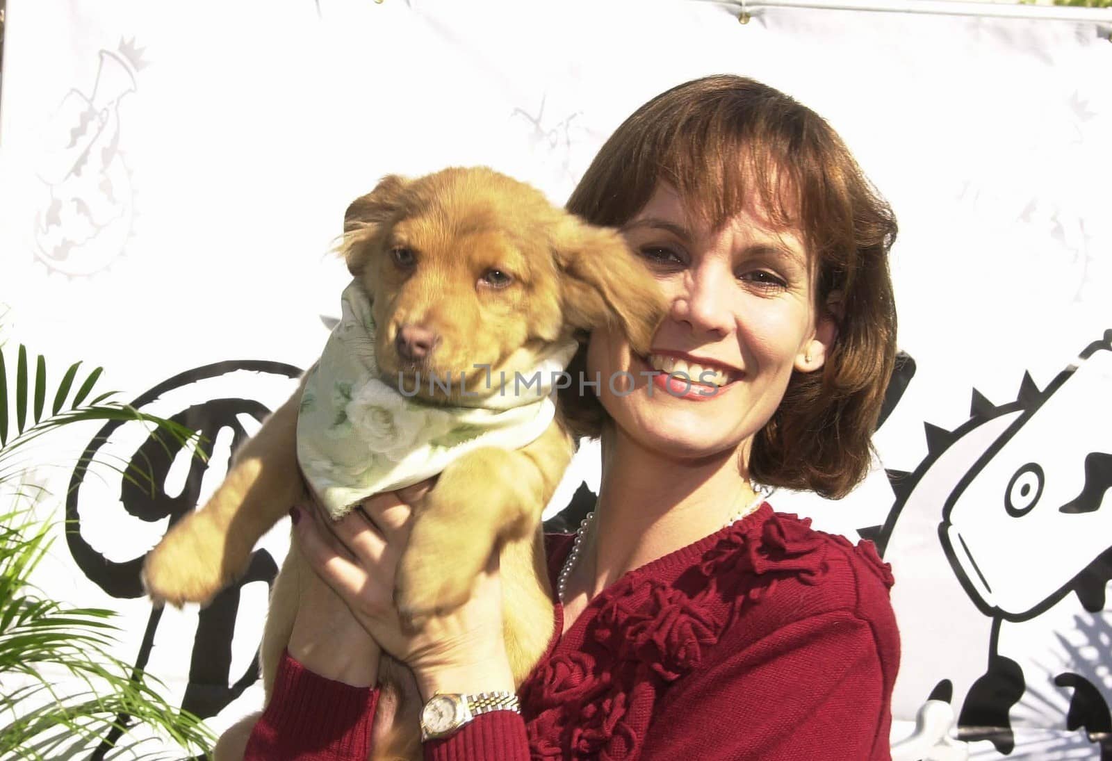 Teri Austin at the "Barqs On The Backlot" event sponsored by Barq's Rootbeer, where celebrities and their dogs are the stars. 02-12-00
