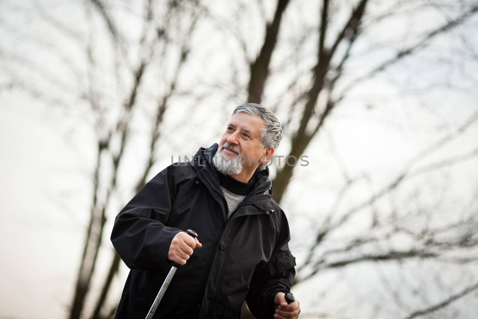Senior man nordic walking, enjoying the outdoors, the fresh air, getting the necessary exercise