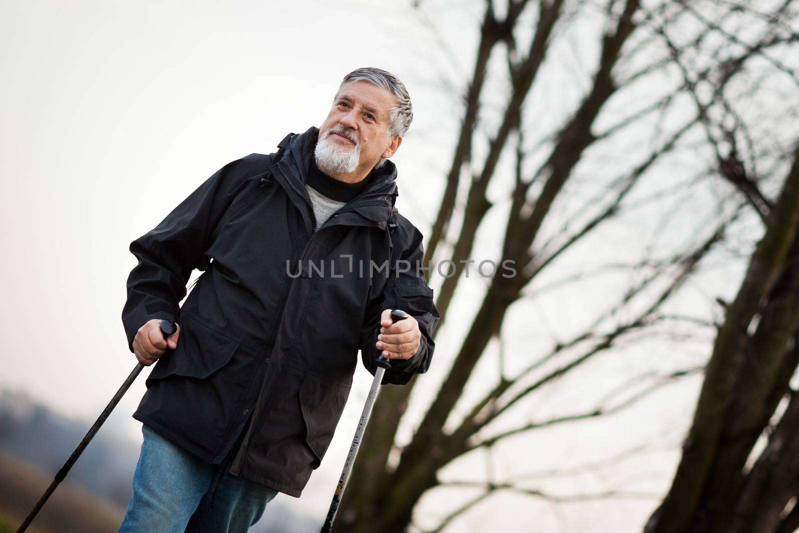 Senior man nordic walking, enjoying the outdoors, the fresh air, getting the necessary exercise