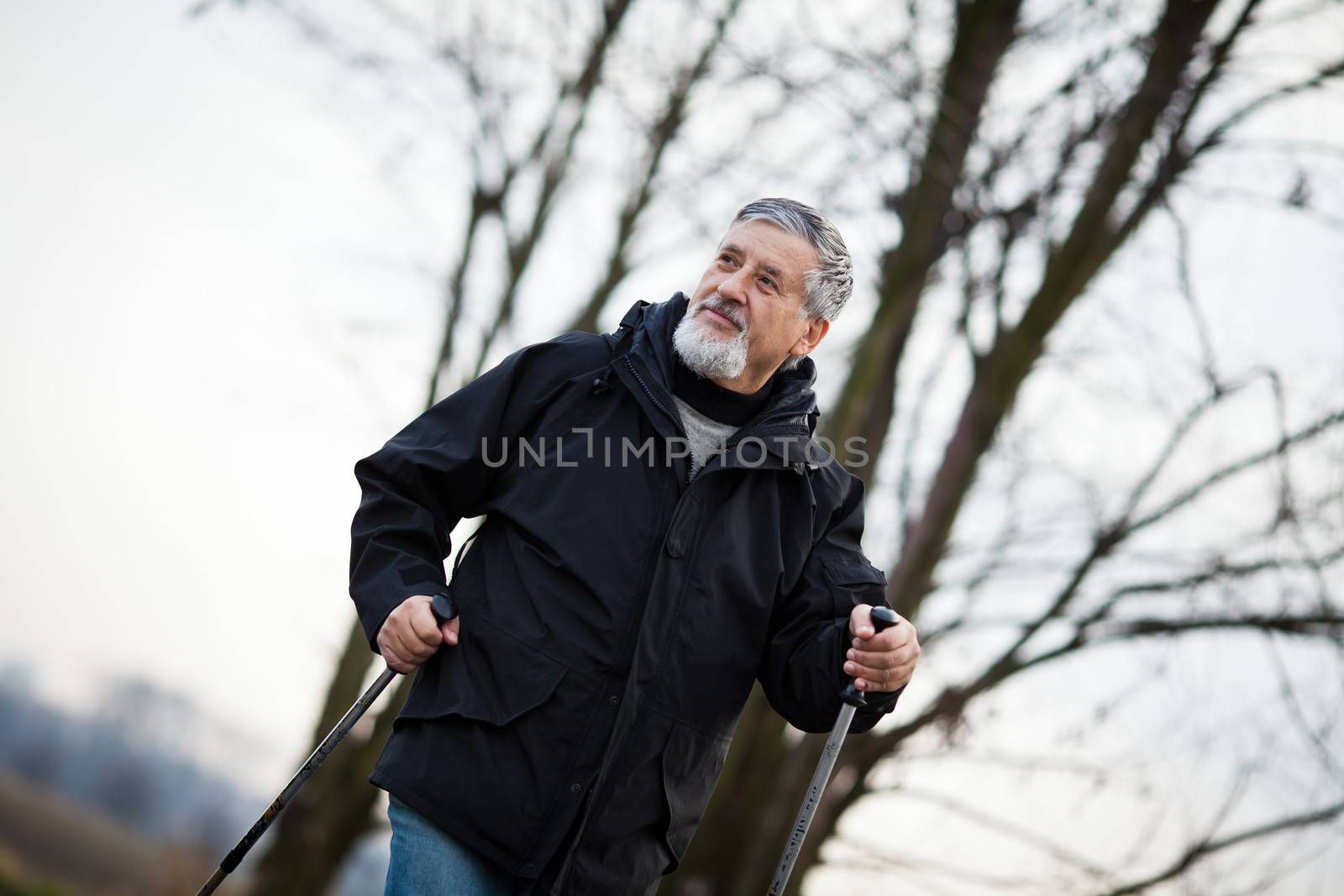 Senior man nordic walking by viktor_cap