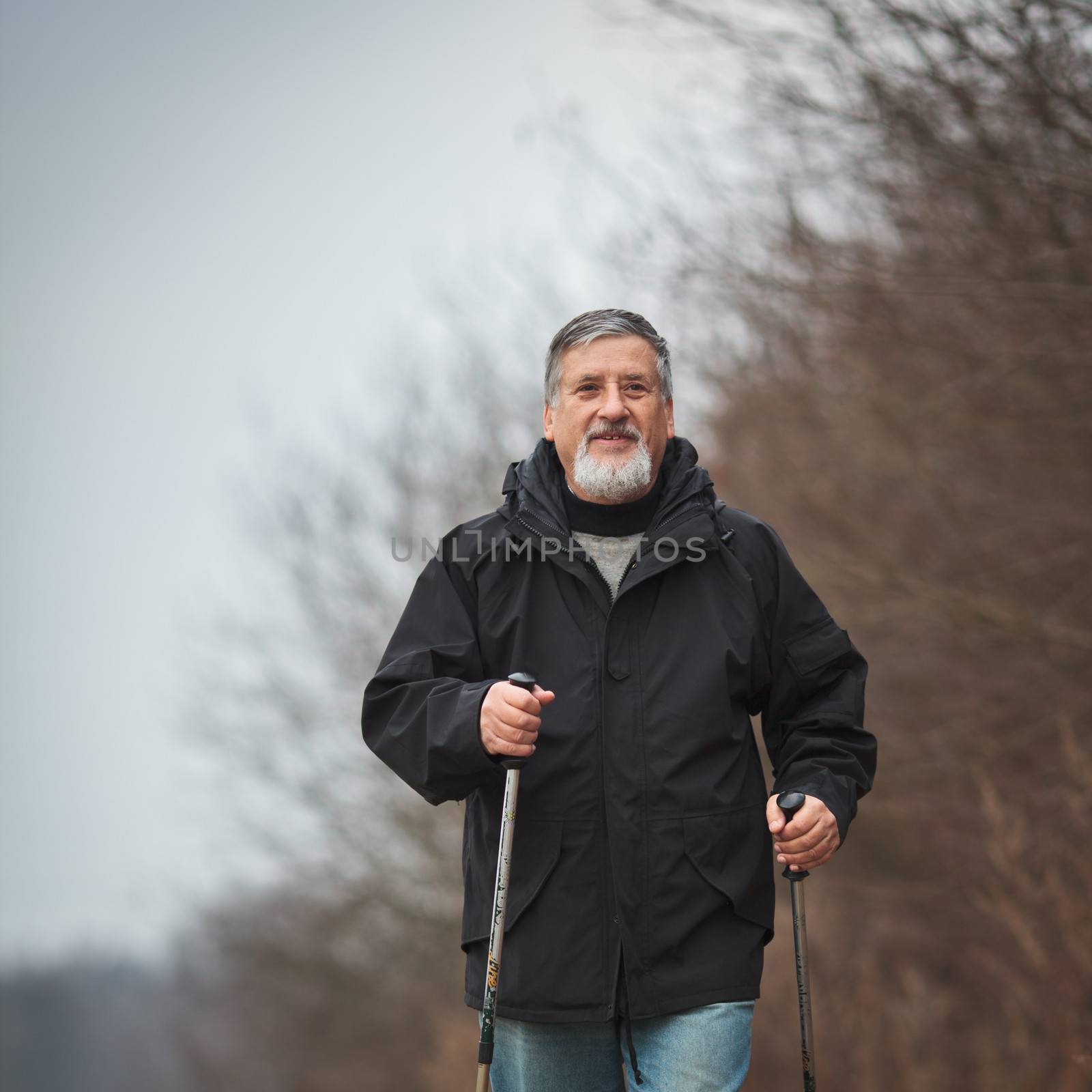 Senior man nordic walking, enjoying the outdoors, the fresh air, getting the necessary exercise