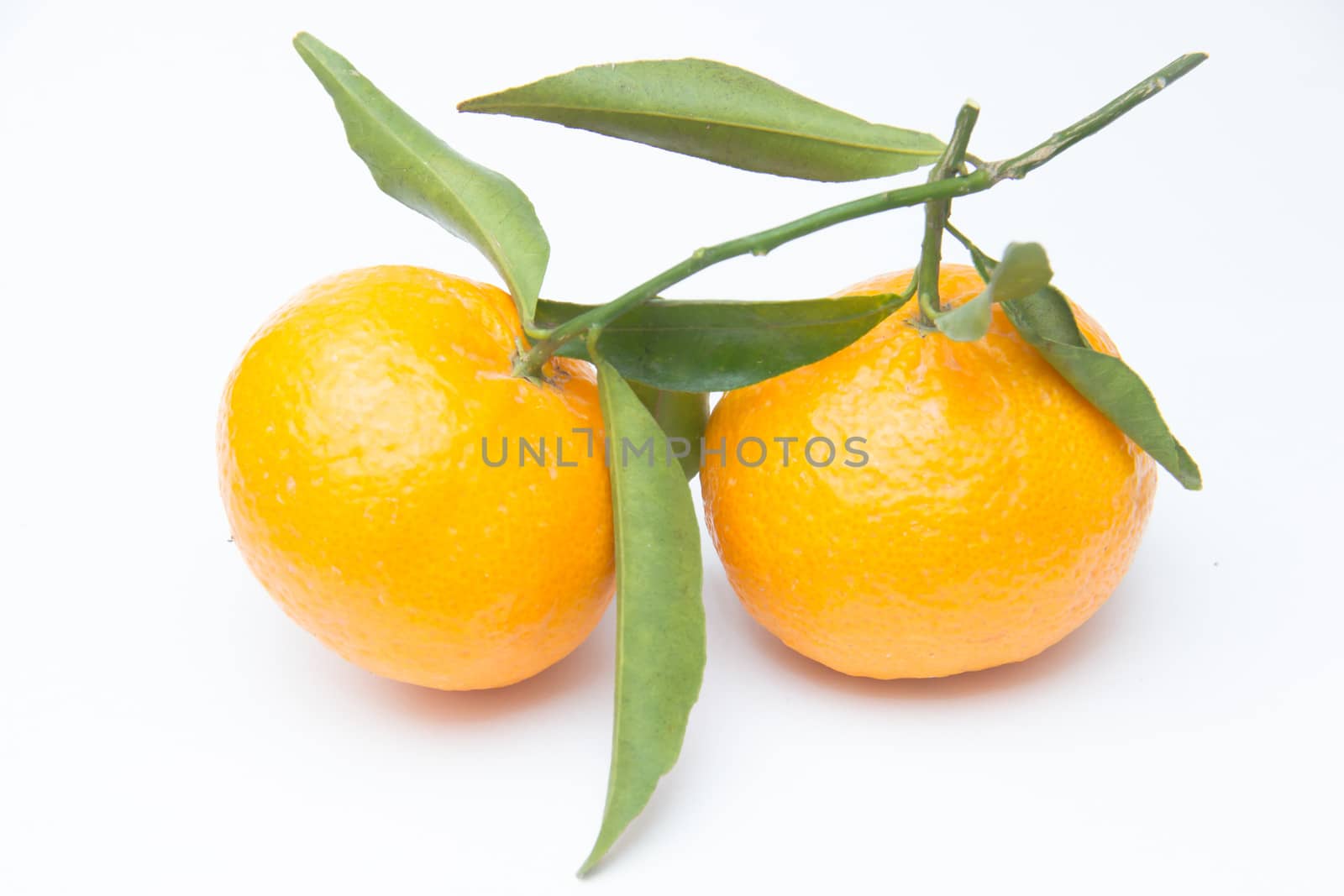 Fresh tangerines on a white background