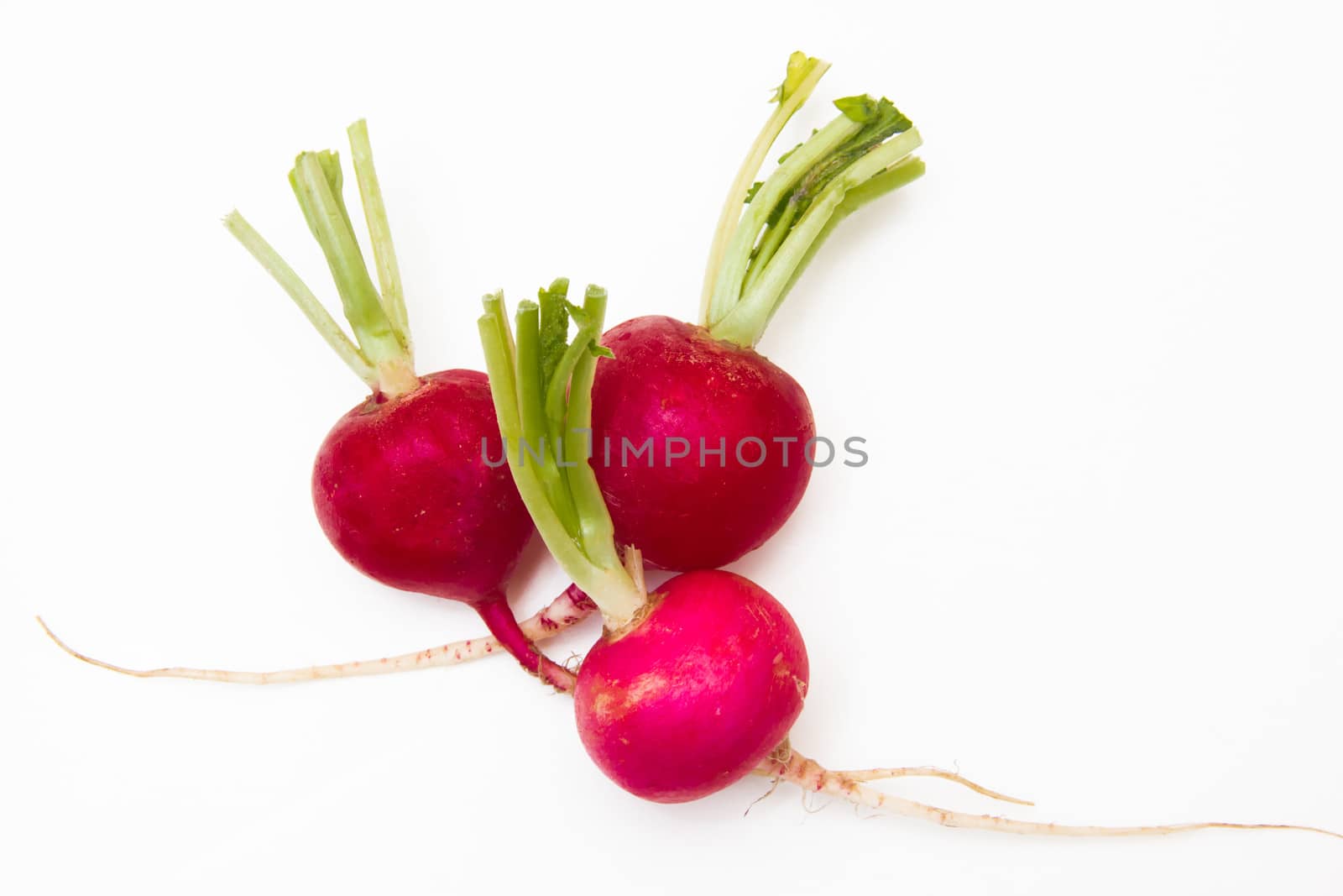 Fresh radishes on a white background