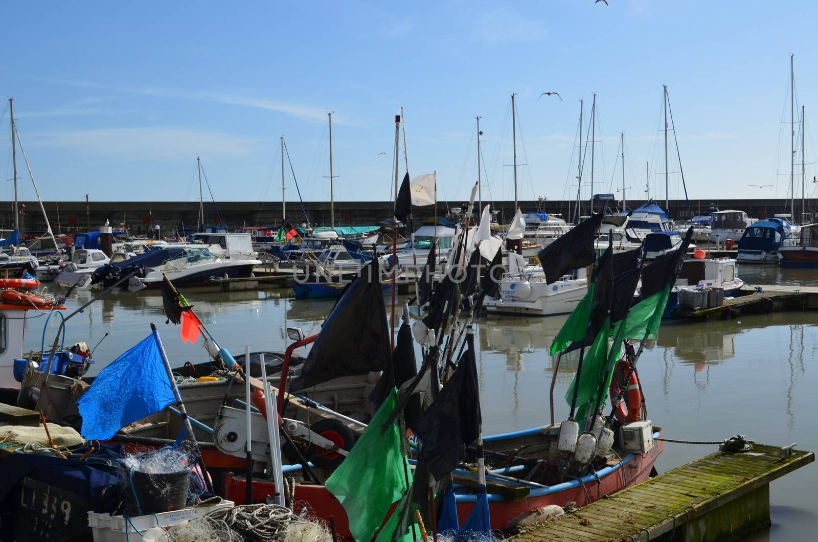 Fishing boats at the East Sussex Brighton Marina.