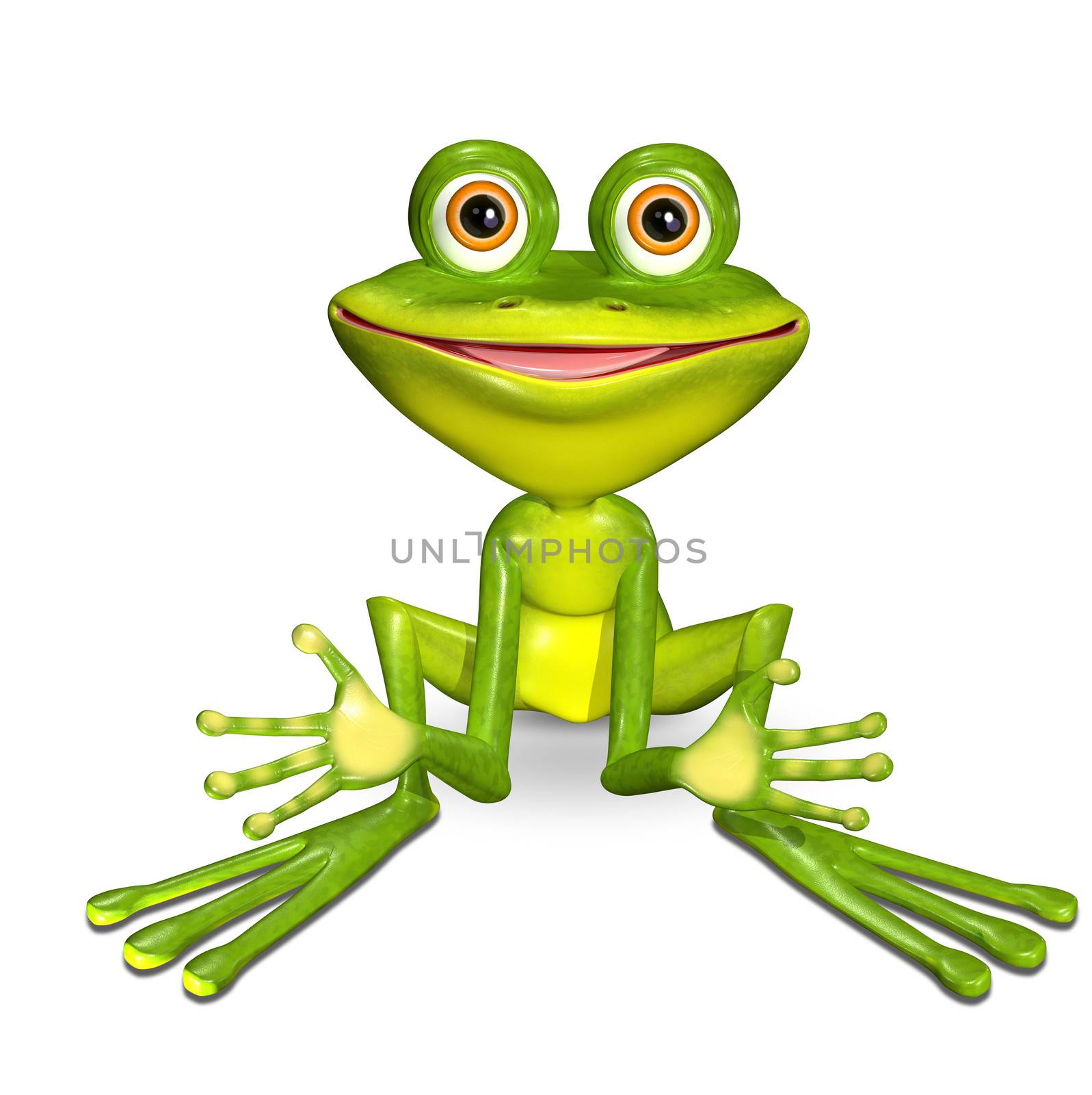 green frog by brux