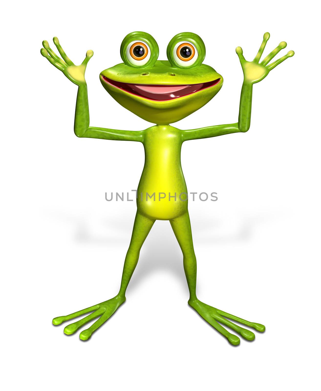 green frog by brux