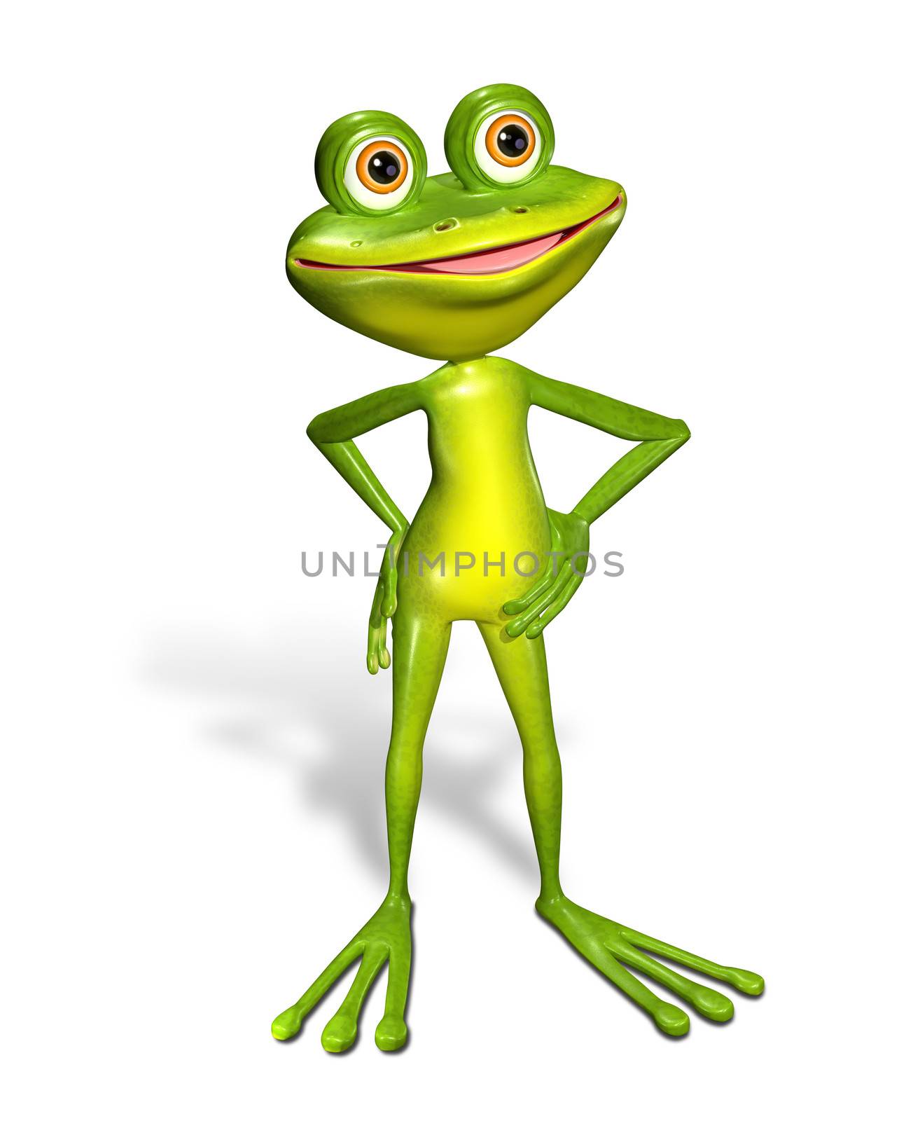 green frog by brux