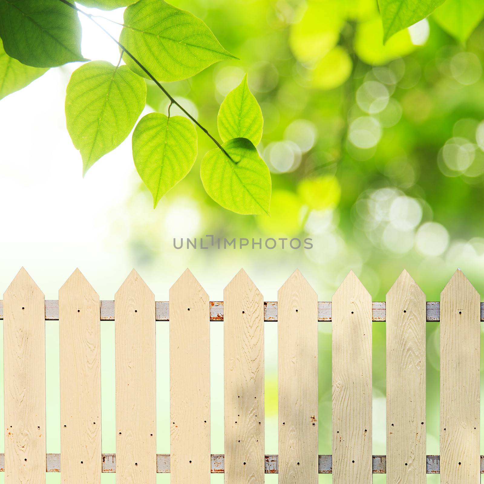 White fences with green leaves background