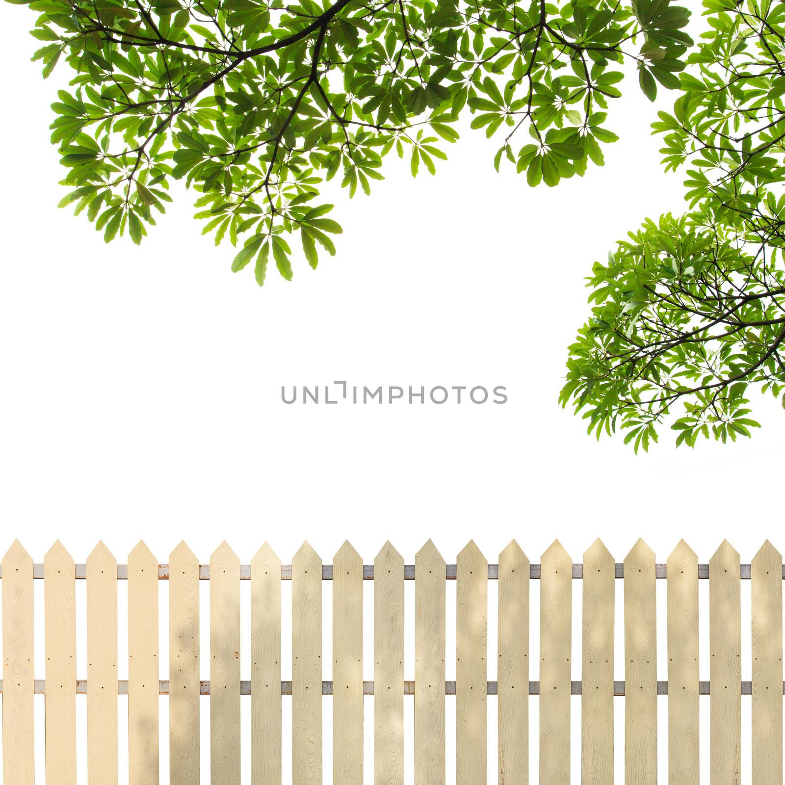 White fences with green leaves background