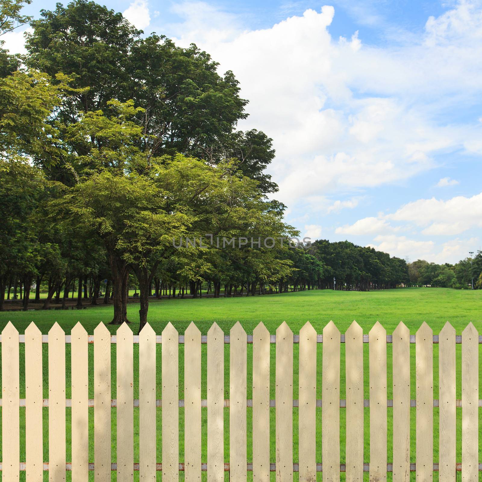 White fences in the garden