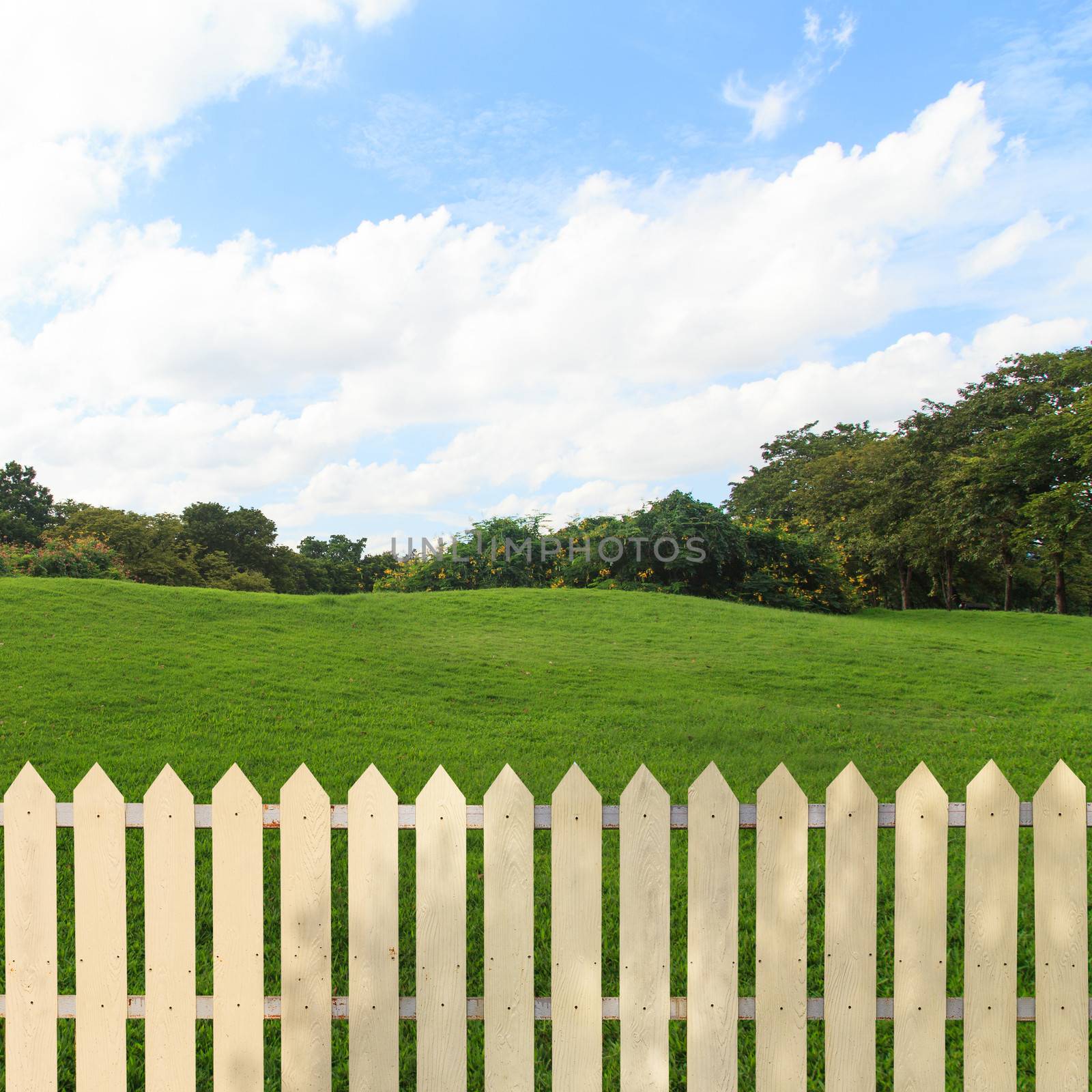 White fences in the garden