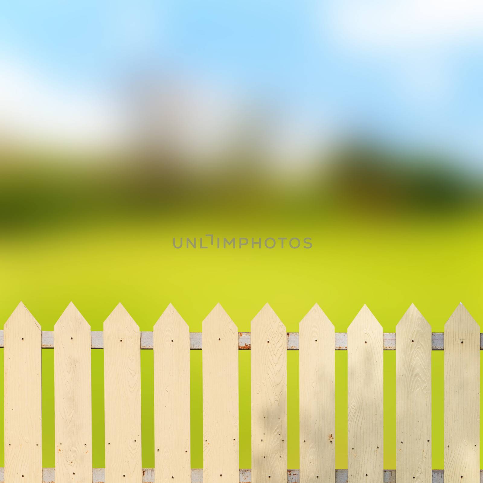 White fences in the garden