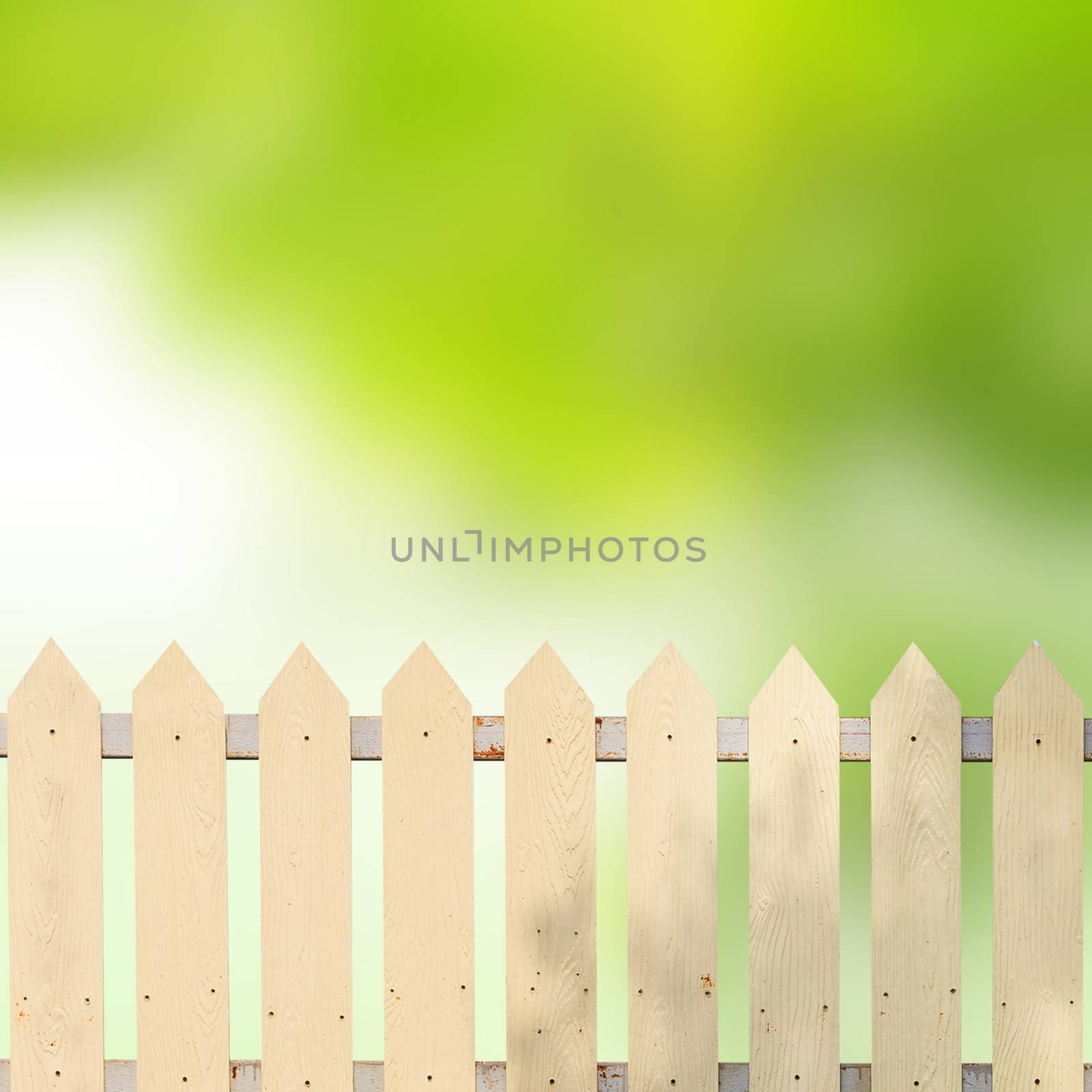 White fences with green leaves background