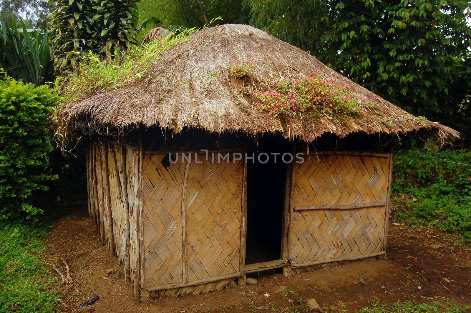 Village house at rural area by danemo