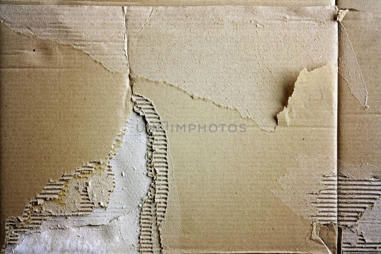 Closeup of ripped cardboard texture