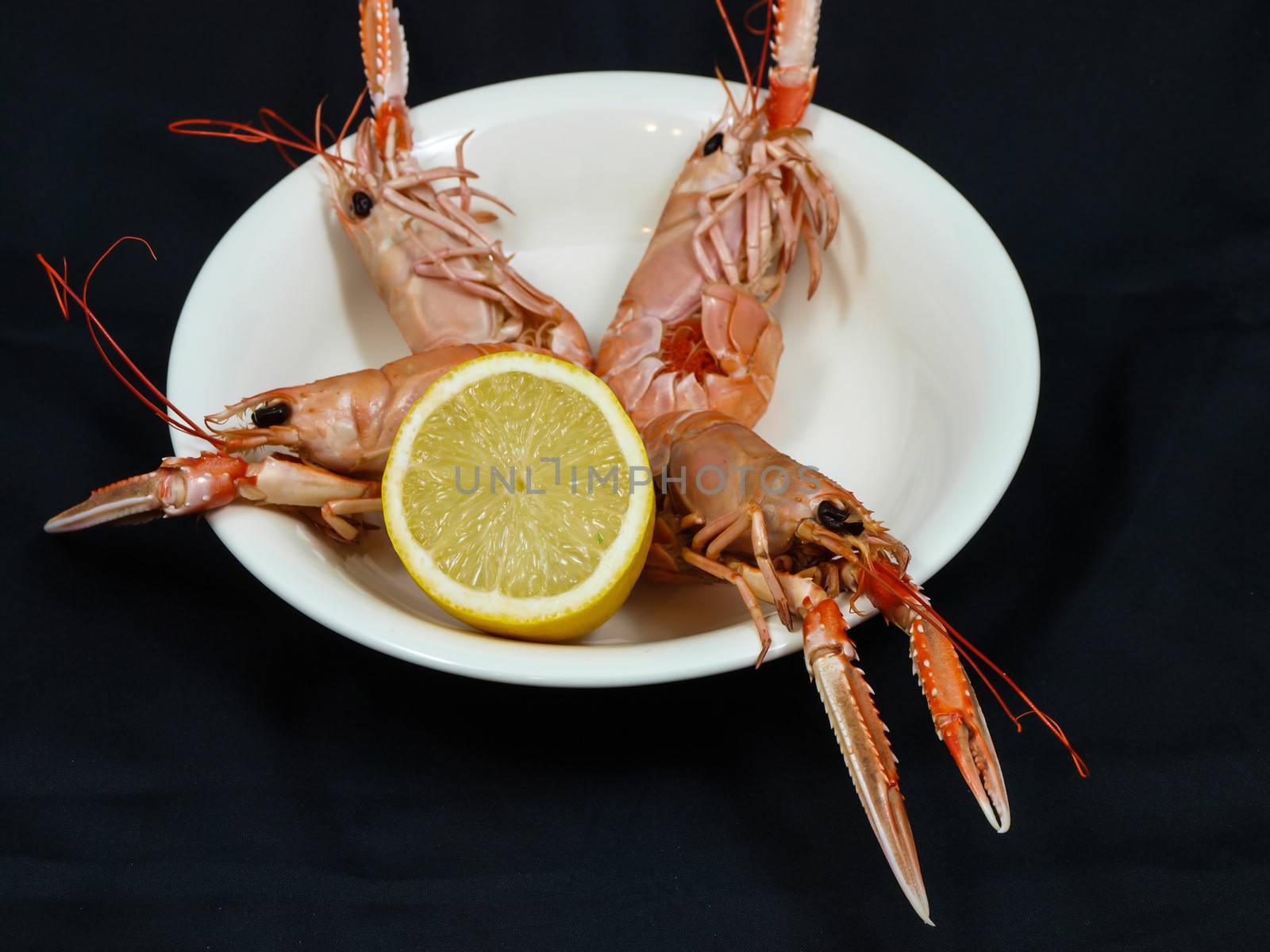 Langoustine prepared on a white plate with lemon, towards black background