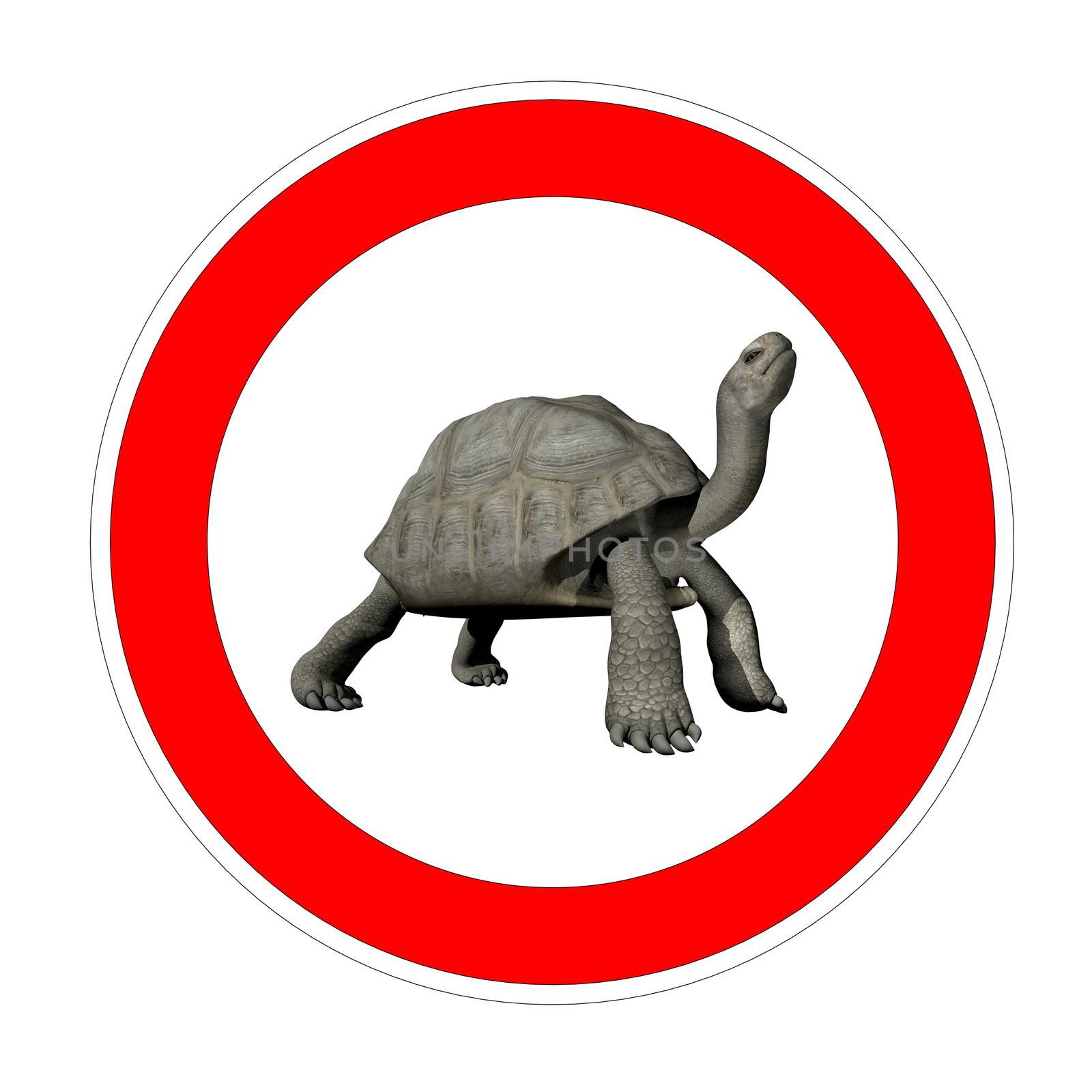 One galapagos turtle inside speed limit symbol in white background