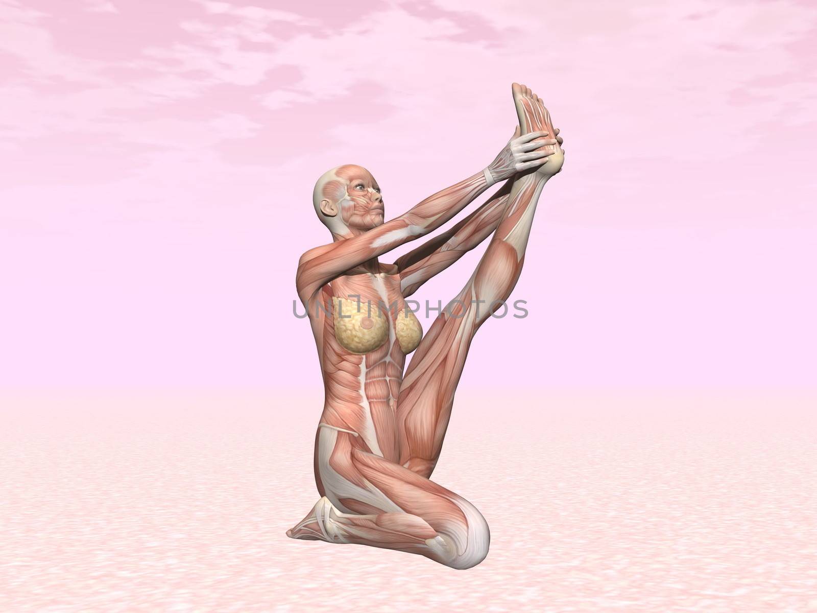 Heron yoga pose for woman with muscle visible in pink background