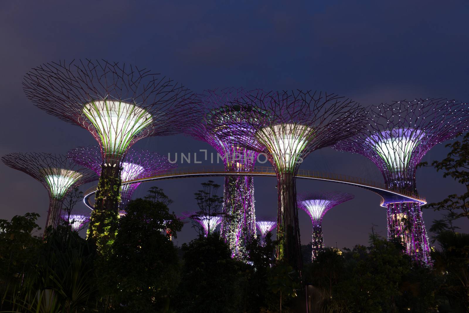 Night illumination in Gardens by the Bay, Singapore by iryna_rasko