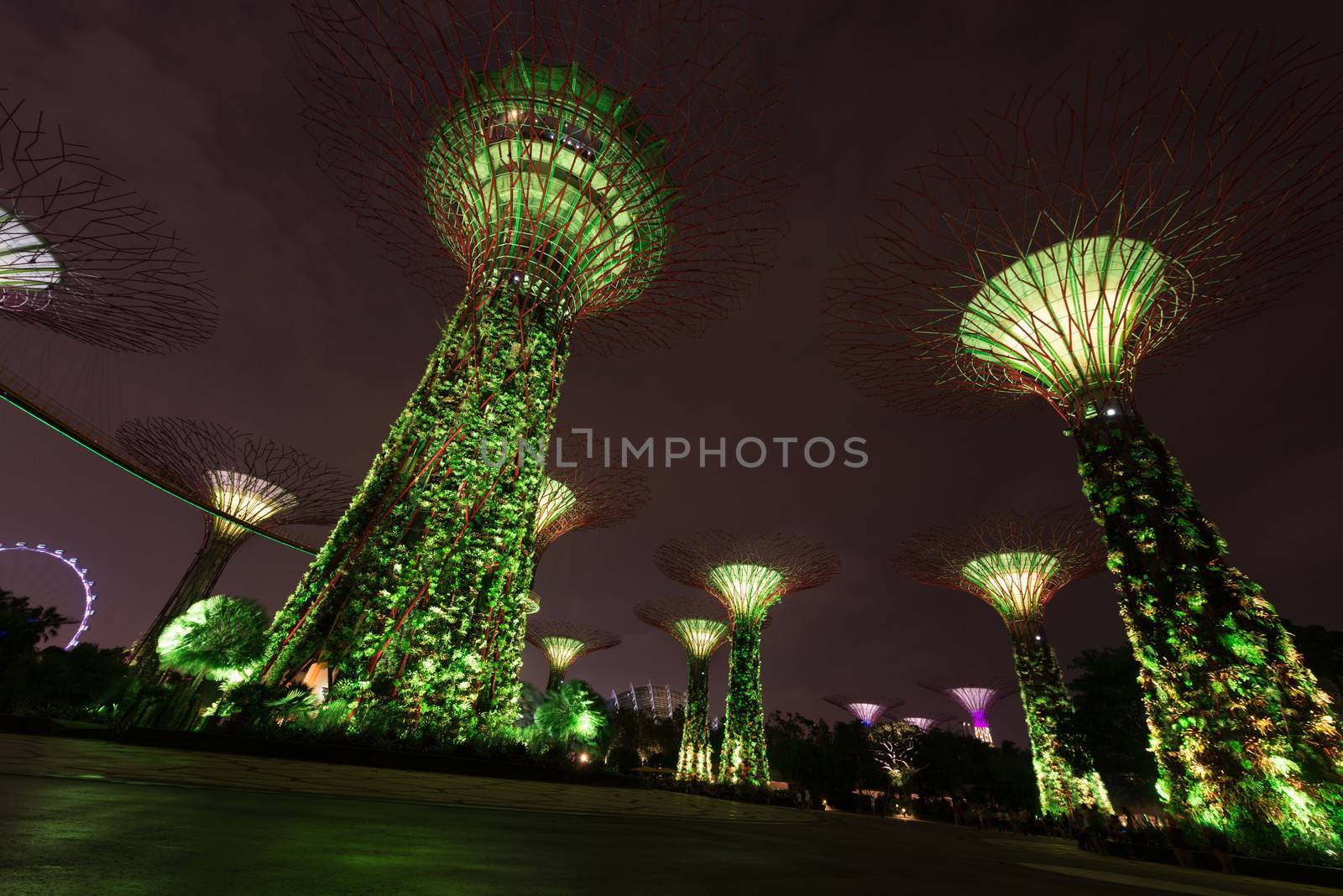 Night illumination in Gardens by the Bay, Singapore by iryna_rasko