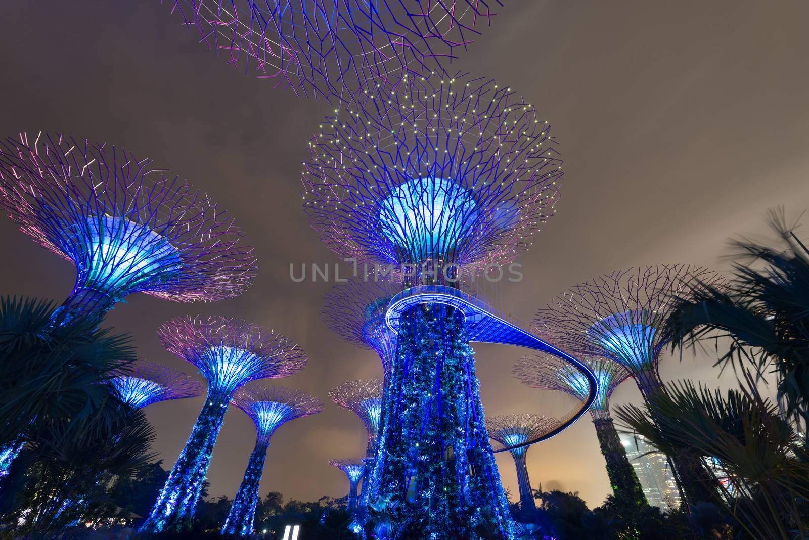 SINGAPORE - 31 DEC, 2013: Gardens by the Bay night view with amazing illumination. Supertree Grove and light show is popular Marina Bay Sands tourist attraction 