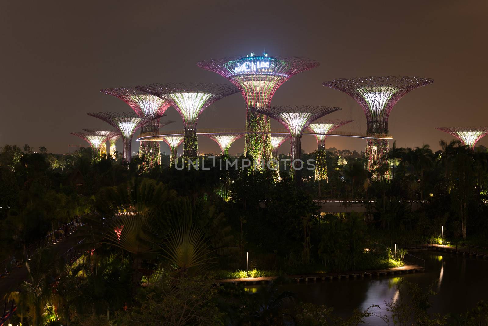 SINGAPORE - 31 DEC, 2013: Gardens by the Bay night view with amazing illumination. Supertree Grove and light show is popular Marina Bay Sands tourist attraction 