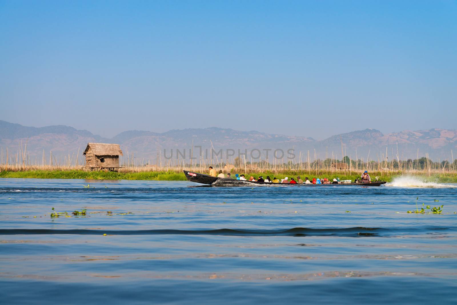 INLE LAKE, MYANMAR (Burma) - 07 JAN 2014: People transportation wooden long boat with motor fast move on blue water with floating gardens on background. 