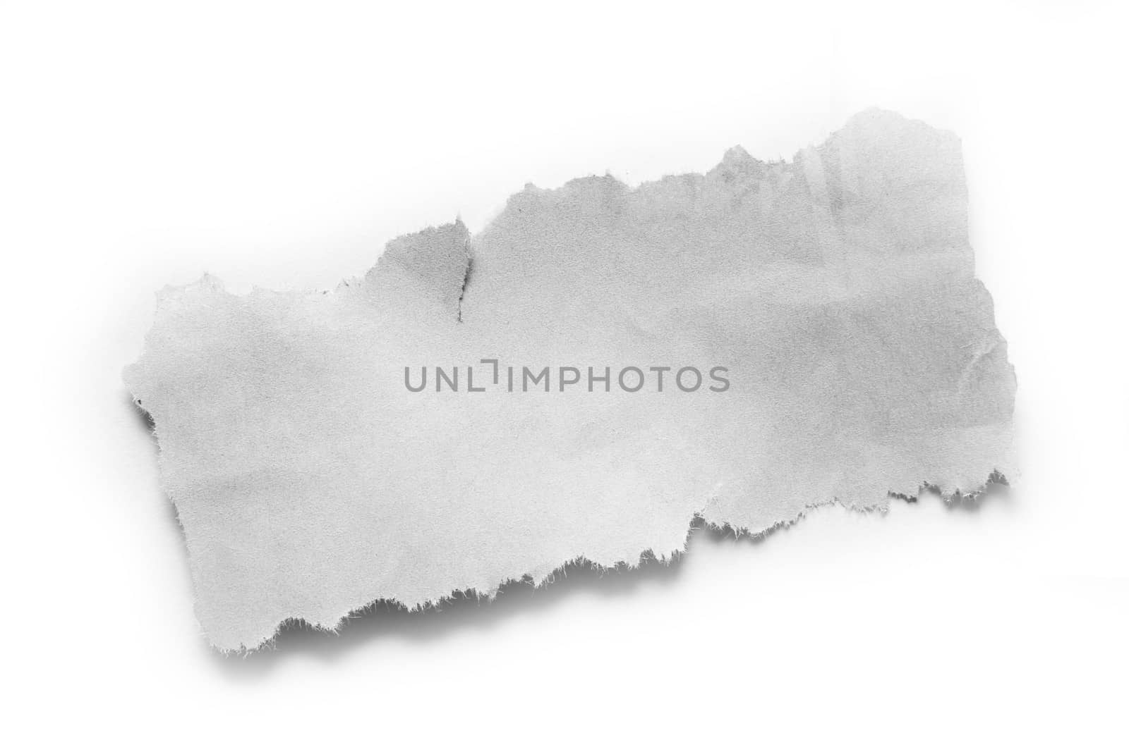 Piece of torn paper isolated on plain background. Copy space