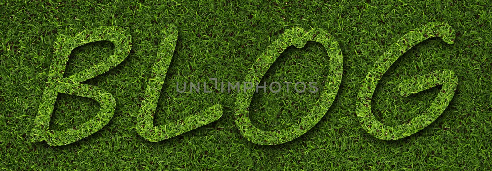 blog made from grass