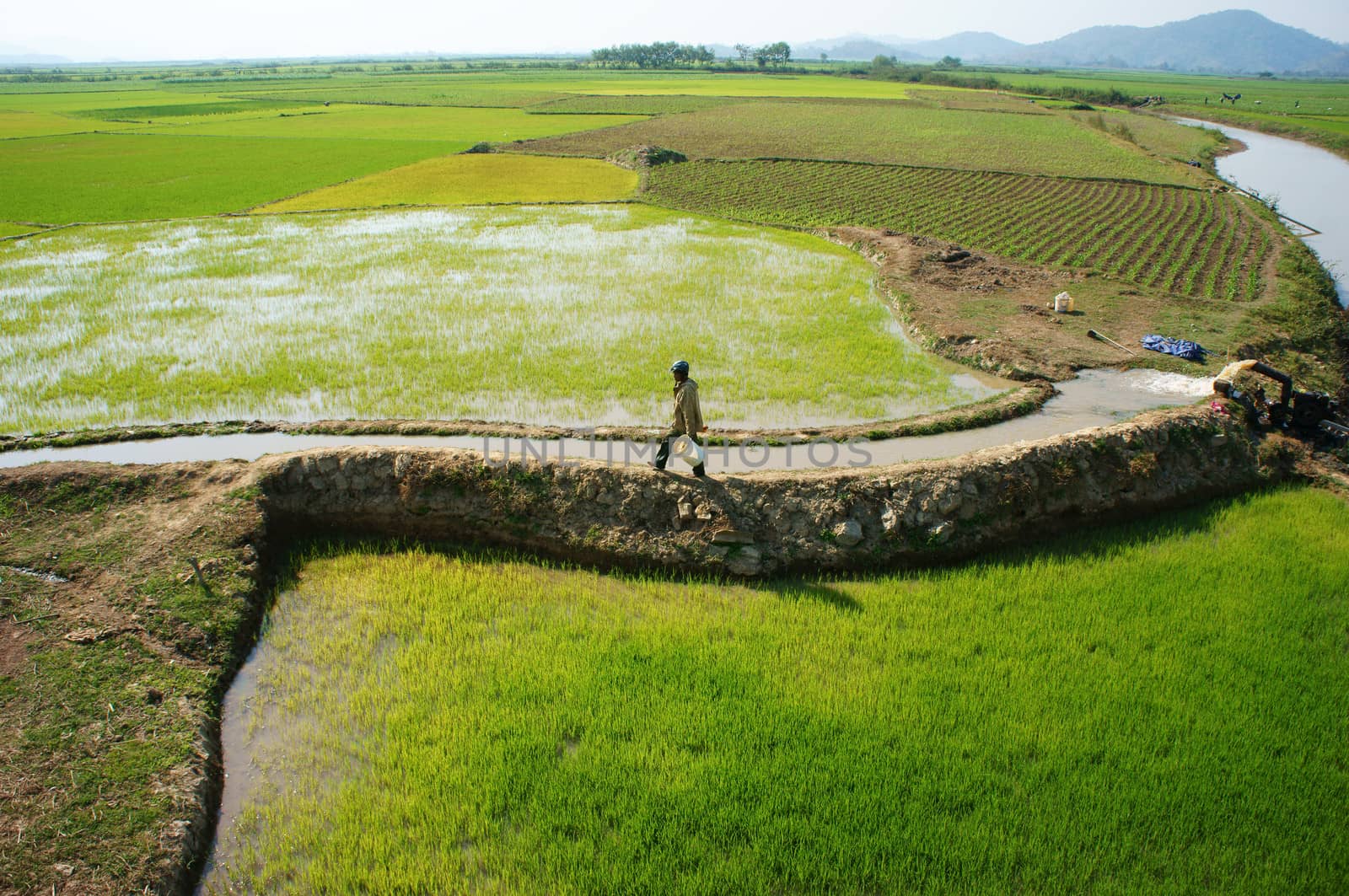  DAKLAK, VIETNAM- FEB 7: Farmer pump water to rice field for crop, he walk on dike, impression of vast paddy plantation with irrigation canal system, Viet Nam, Feb 7, 2014                           
