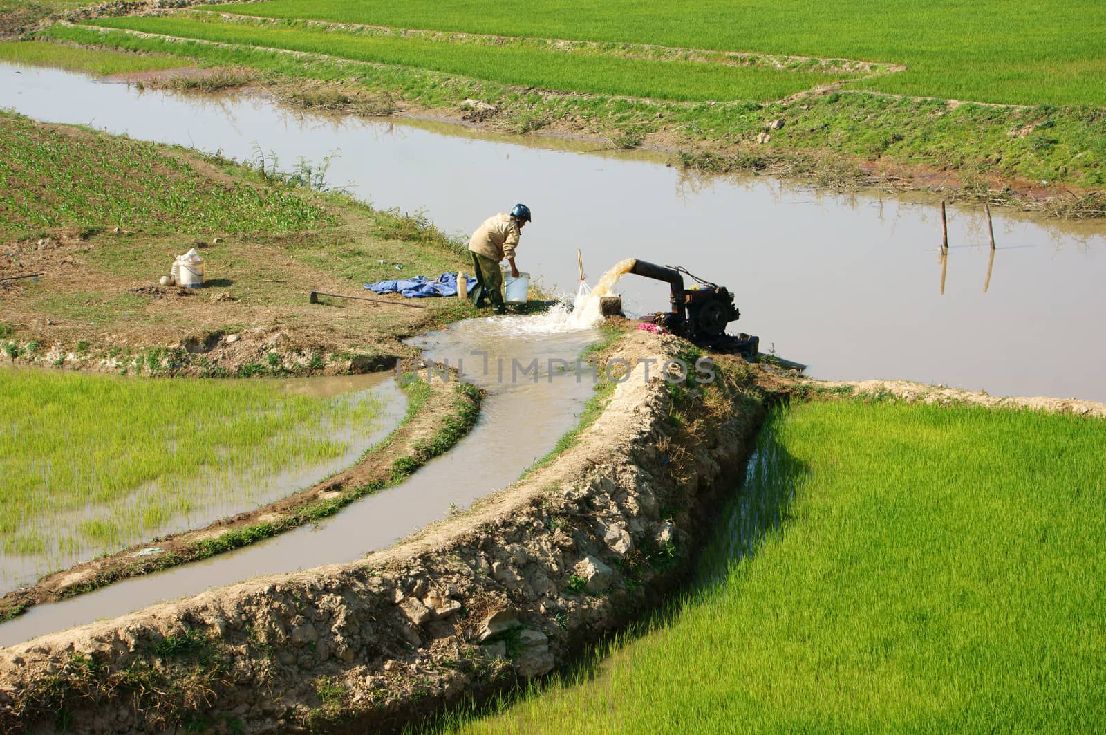  DAKLAK, VIETNAM- FEB 7: Farmer  pump water to rice field for crop, paddy plantation with comfortable irrigation system when cover by irrigation canal, Viet Nam, Feb 7, 2014                           