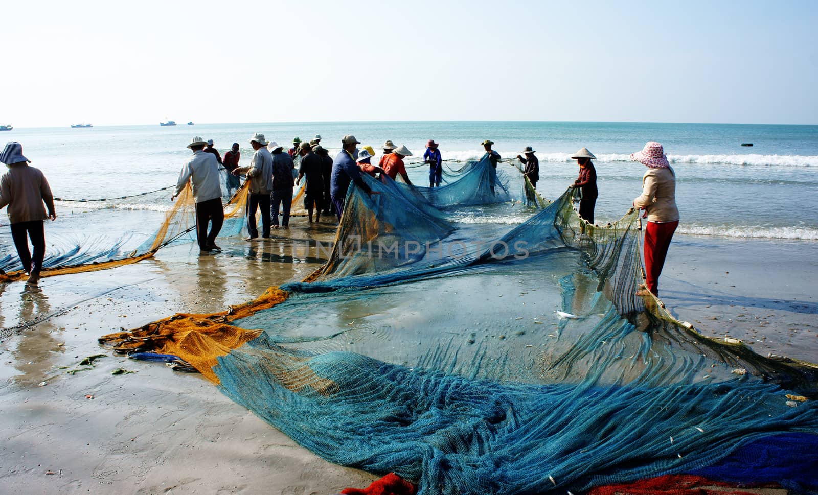 BINH THUAN, VIETNAM- JAN 22: Crowded atmosphere on beach with impression 's group of fisherman pull fish net, row of people with long net in hand, Viet Nam, Jan 22, 2014                           