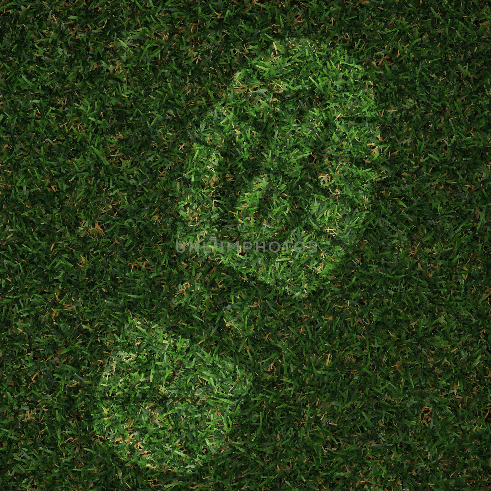 foot print made in grass