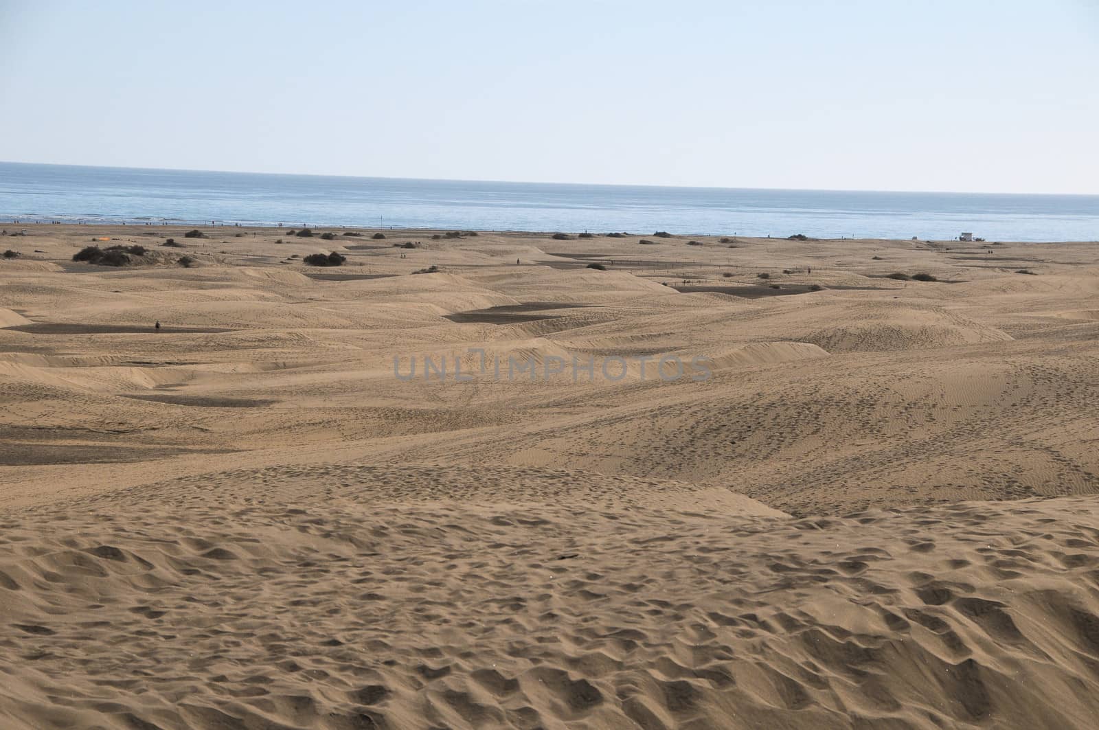 African European Sand Dune Desert Landscape in Gran Canaria Island Spain