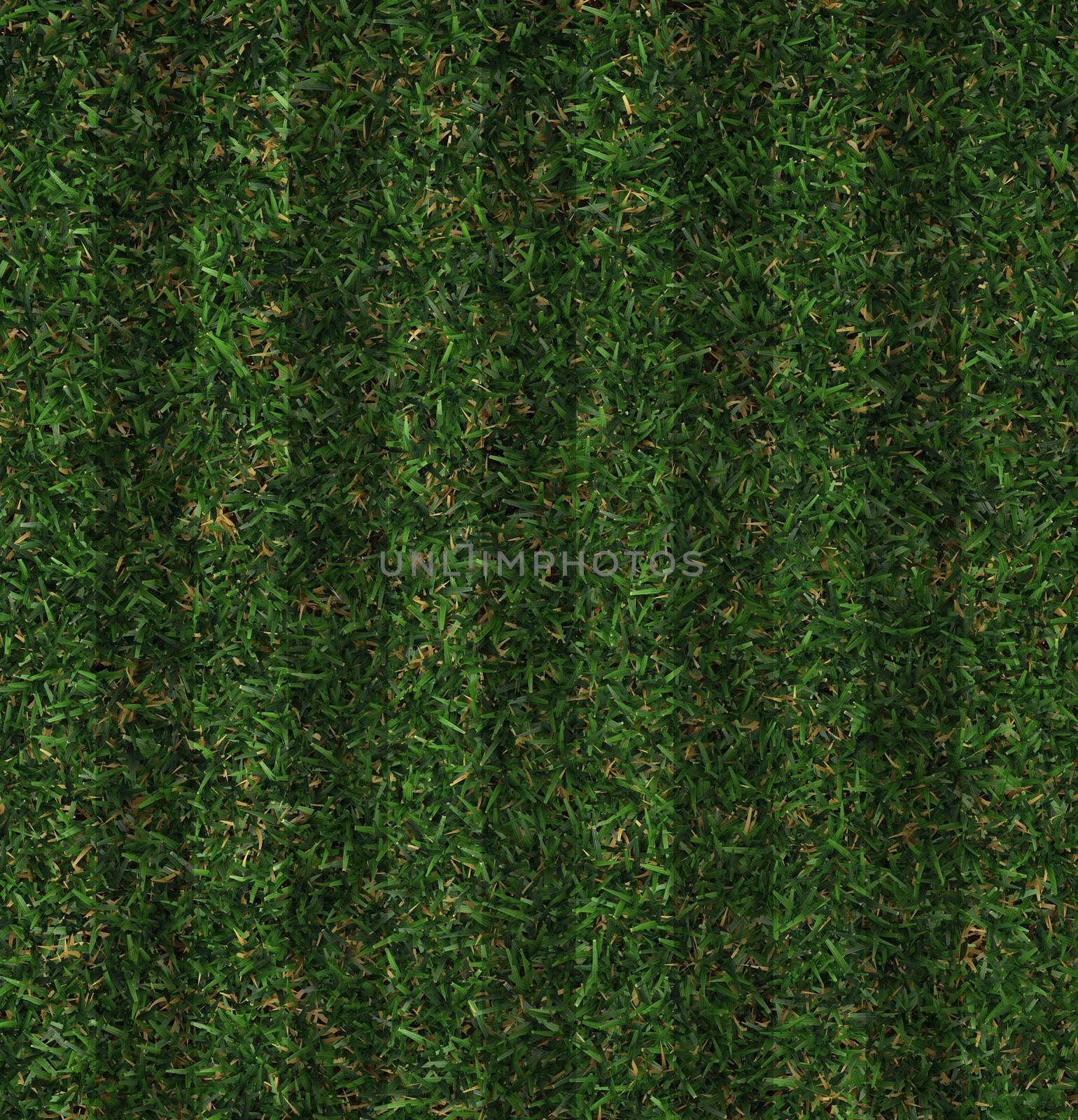 Perfect Grass in  3D