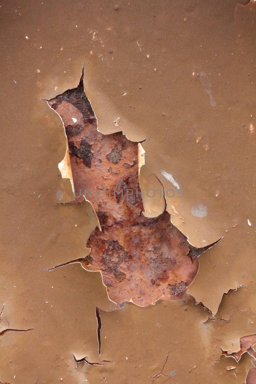Rusty metal surface or grunge texture of teared metal sheet