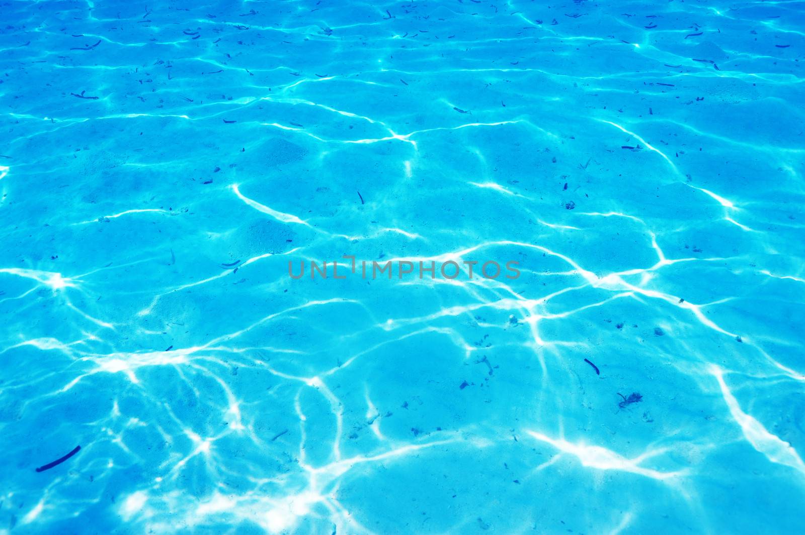 A white sand bottom in clear water at Maldives