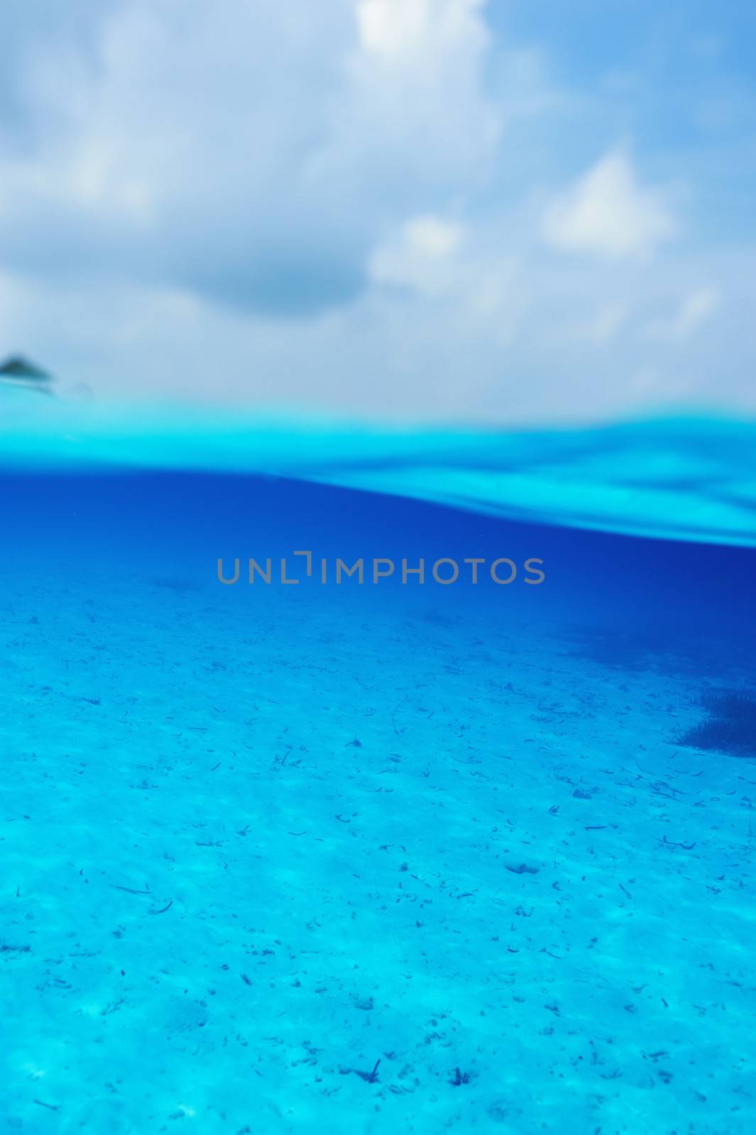 A white sand bottom in clear water at Maldives