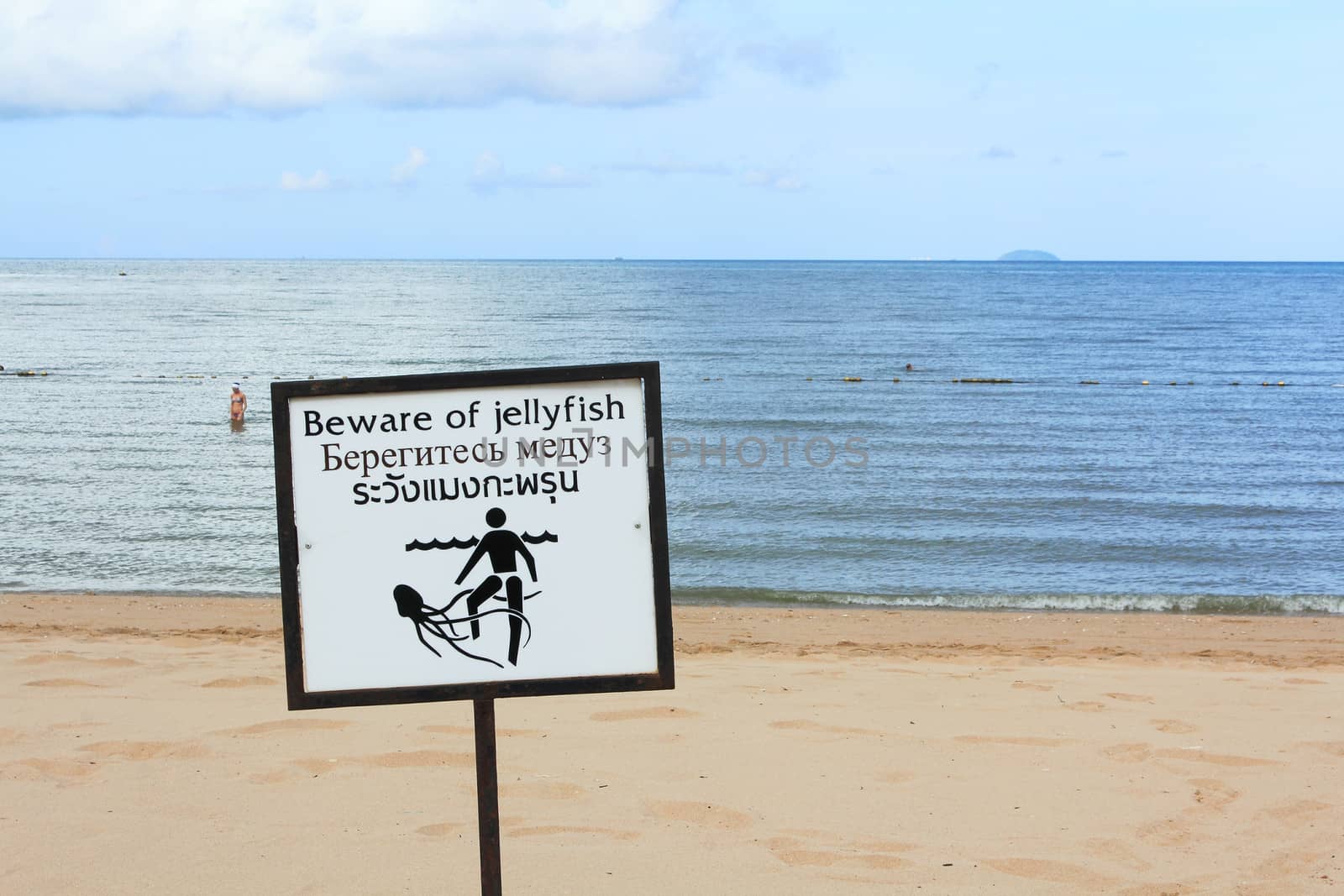 Chonburi, Thailand - September 3, 2013: Warning sign for beware of Jellyfish in Jomtien beach area in Chonburi Sea. In background is Lady takes a bath in the sea.