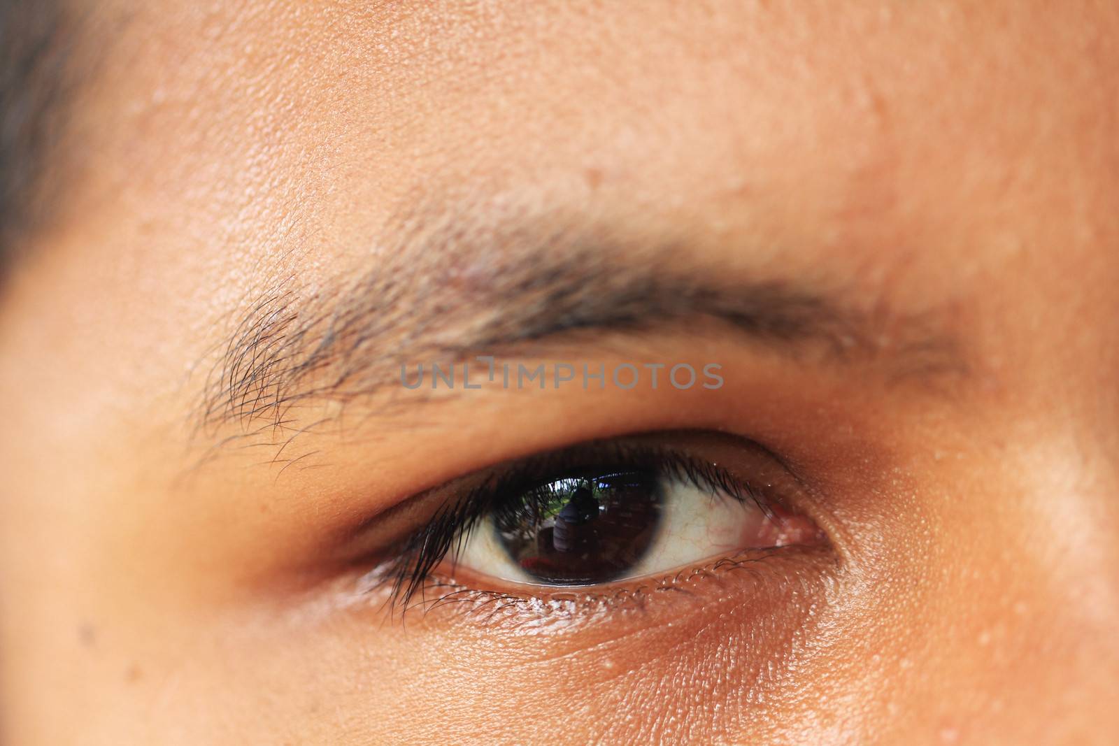 Close up Asian Thai boy eye by use macro lens